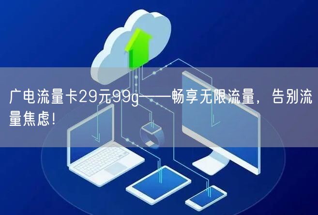 广电流量卡29元99g——畅享无限流量，告别流量焦虑！