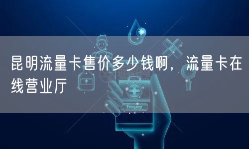 昆明流量卡售价多少钱啊，流量卡在线营业厅