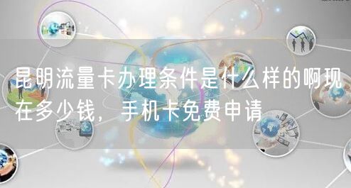 昆明流量卡办理条件是什么样的啊现在多少钱，手机卡免费申请