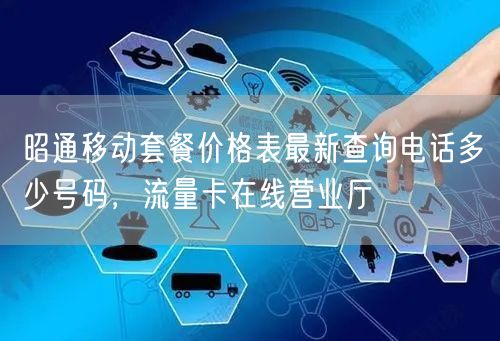 昭通移动套餐价格表最新查询电话多少号码，流量卡在线营业厅