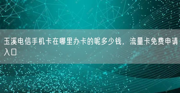 玉溪电信手机卡在哪里办卡的呢多少钱，流量卡免费申请入口