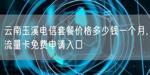 云南玉溪电信套餐价格多少钱一个月，流量卡免费申请入口