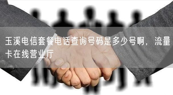 玉溪电信套餐电话查询号码是多少号啊，流量卡在线营业厅