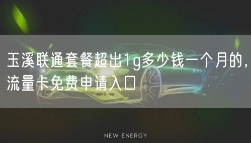 玉溪联通套餐超出1g多少钱一个月的，流量卡免费申请入口