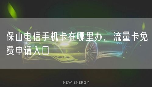 保山电信手机卡在哪里办，流量卡免费申请入口