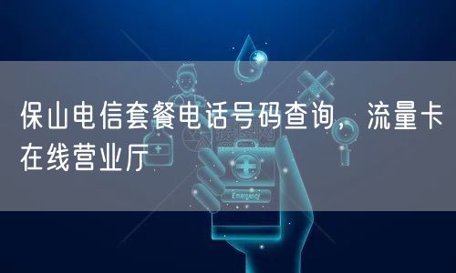 保山电信套餐电话号码查询，流量卡在线营业厅