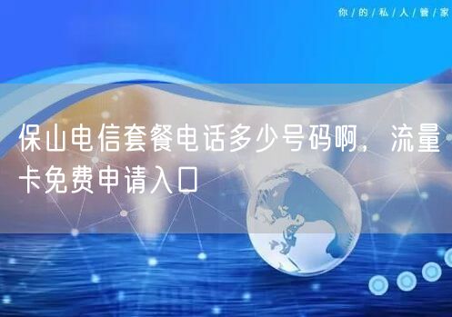 保山电信套餐电话多少号码啊，流量卡免费申请入口