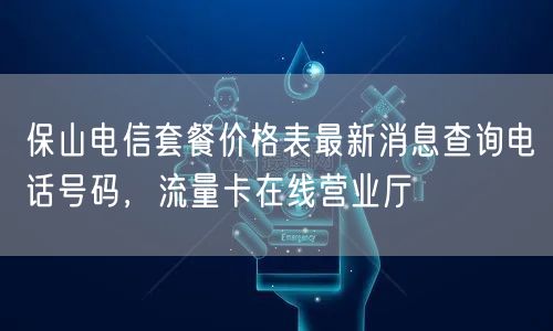 保山电信套餐价格表最新消息查询电话号码，流量卡在线营业厅