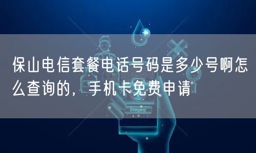 保山电信套餐电话号码是多少号啊怎么查询的，手机卡免费申请