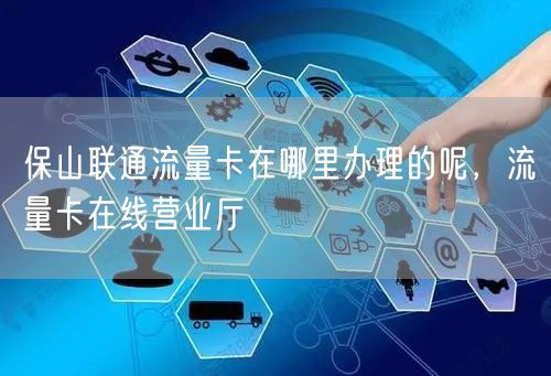 保山联通流量卡在哪里办理的呢，流量卡在线营业厅