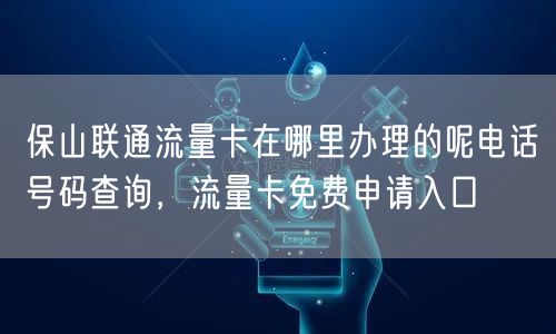 保山联通流量卡在哪里办理的呢电话号码查询，流量卡免费申请入口