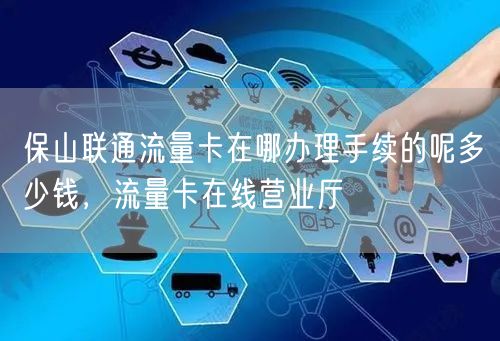 保山联通流量卡在哪办理手续的呢多少钱，流量卡在线营业厅