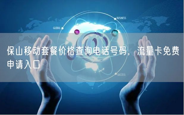 保山移动套餐价格查询电话号码，流量卡免费申请入口