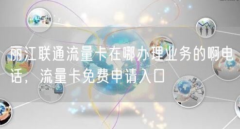 丽江联通流量卡在哪办理业务的啊电话，流量卡免费申请入口