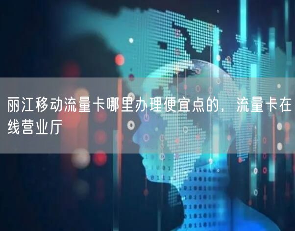 丽江移动流量卡哪里办理便宜点的，流量卡在线营业厅