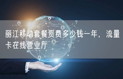 丽江移动套餐资费多少钱一年，流量卡在线营业厅