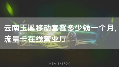 云南玉溪移动套餐多少钱一个月，流量卡在线营业厅