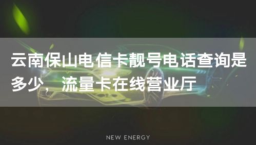 云南保山电信卡靓号电话查询是多少，流量卡在线营业厅