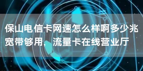 保山电信卡网速怎么样啊多少兆宽带够用，流量卡在线营业厅