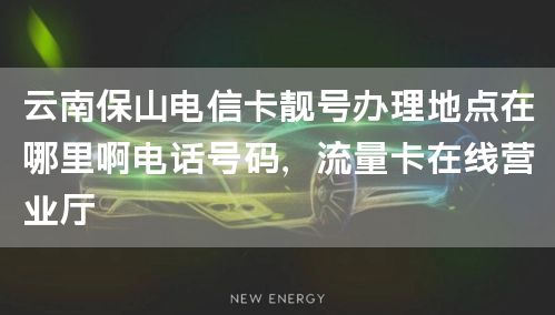 云南保山电信卡靓号办理地点在哪里啊电话号码，流量卡在线营业厅