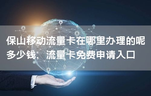保山移动流量卡在哪里办理的呢多少钱，流量卡免费申请入口