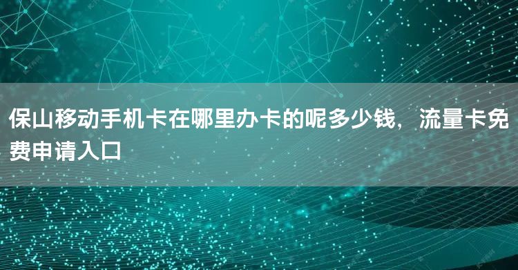 保山移动手机卡在哪里办卡的呢多少钱，流量卡免费申请入口