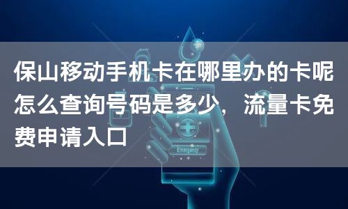 保山移动手机卡在哪里办的卡呢怎么查询号码是多少，流量卡免费申