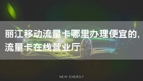丽江移动流量卡哪里办理便宜的，流量卡在线营业厅