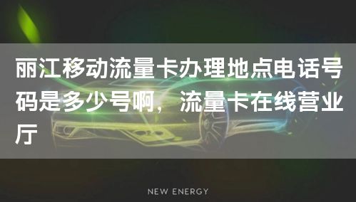 丽江移动流量卡办理地点电话号码是多少号啊，流量卡在线营业厅