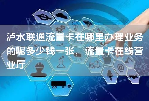 泸水联通流量卡在哪里办理业务的呢多少钱一张，流量卡在线营业厅