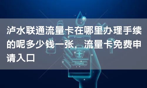 泸水联通流量卡在哪里办理手续的呢多少钱一张，流量卡免费申请入