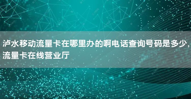 泸水移动流量卡在哪里办的啊电话查询号码是多少，流量卡在线营业