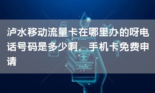 泸水移动流量卡在哪里办的呀电话号码是多少啊，手机卡免费申请