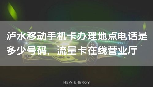 泸水移动手机卡在哪办理业务的呢多少钱，流量卡在线营业厅