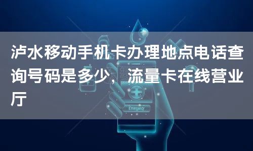 泸水移动手机卡办理地点电话查询号码是多少，流量卡在线营业厅
