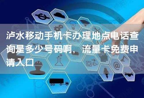 泸水移动手机卡办理地点电话查询是多少号码啊，流量卡免费申请入