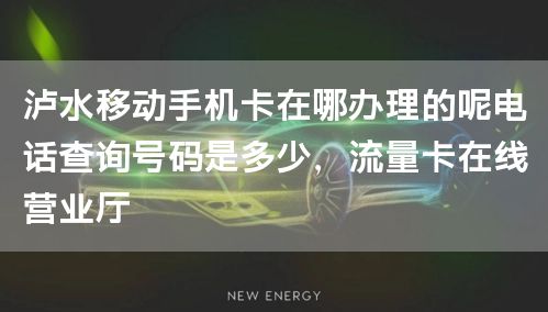 泸水移动手机卡在哪办理的呢电话查询号码是多少，流量卡在线营业