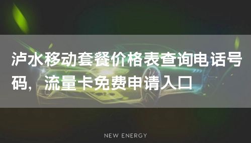 泸水移动套餐价格表查询电话号码，流量卡免费申请入口