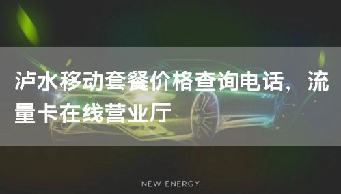 泸水移动套餐价格查询电话，流量卡在线营业厅