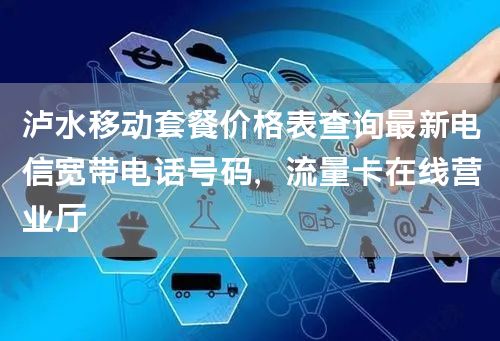 泸水移动套餐价格表查询最新电信宽带电话号码，流量卡在线营业厅