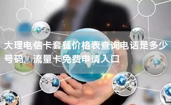 大理电信卡套餐价格表查询电话是多少号码，流量卡免费申请入口