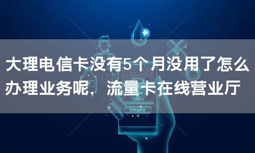 大理电信卡没有5个月没用了怎么办理业务呢，流量卡在线营业厅