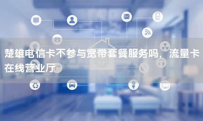 楚雄电信卡不参与宽带套餐服务吗，流量卡在线营业厅