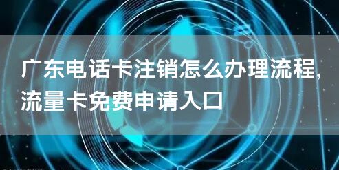 广东电话卡注销怎么办理流程，流量卡免费申请入口