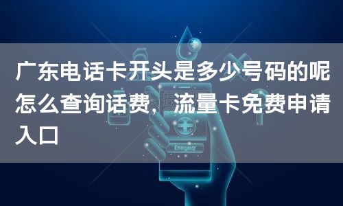 广东电话卡开头是多少号码的呢怎么查询话费，流量卡免费申请入口