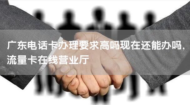 广东电话卡办理要求高吗现在还能办吗，流量卡在线营业厅