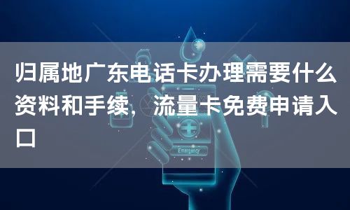 归属地广东电话卡办理需要什么资料和手续，流量卡免费申请入口
