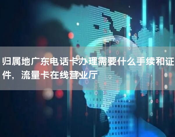 归属地广东电话卡办理需要什么手续和证件，流量卡在线营业厅