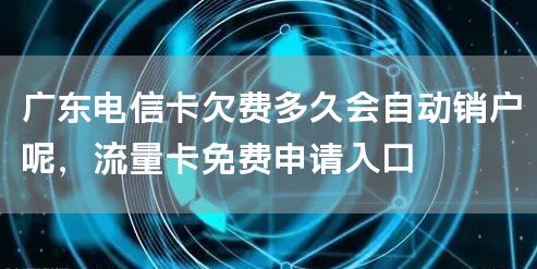 广东电信卡欠费多久会自动销户呢，流量卡免费申请入口