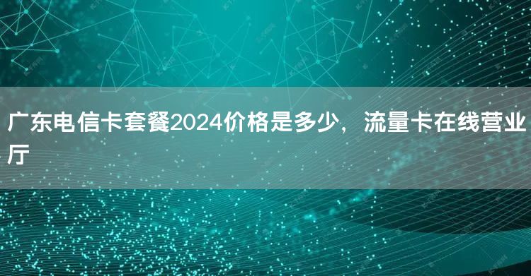 广东电信卡套餐2024价格是多少，流量卡在线营业厅